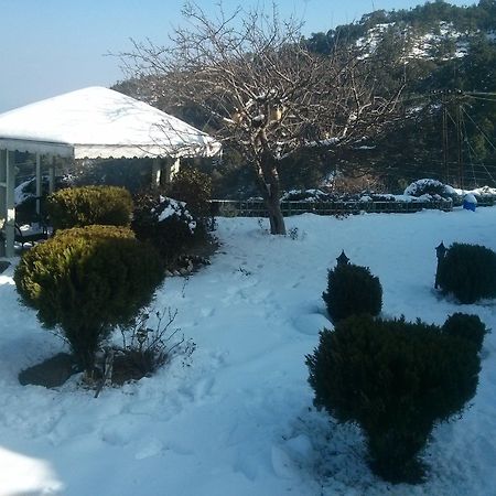 The Swiss Village Resort Nainital Zewnętrze zdjęcie