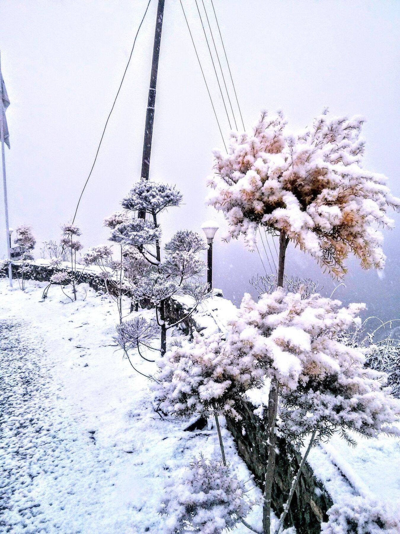 The Swiss Village Resort Nainital Zewnętrze zdjęcie